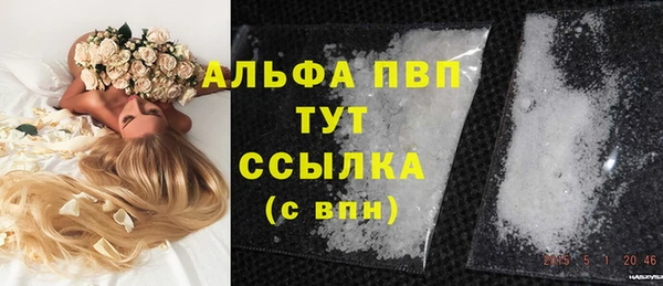 прущий лед Абаза