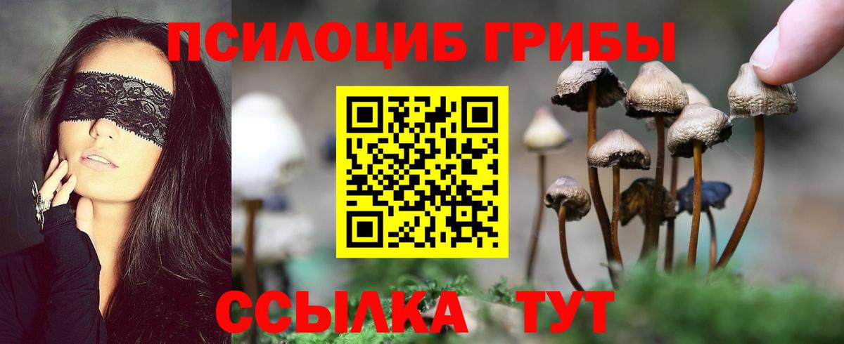 Псилоцибиновые грибы Magic Shrooms  Уварово  Псилоцибиновые грибы Magic Shrooms 